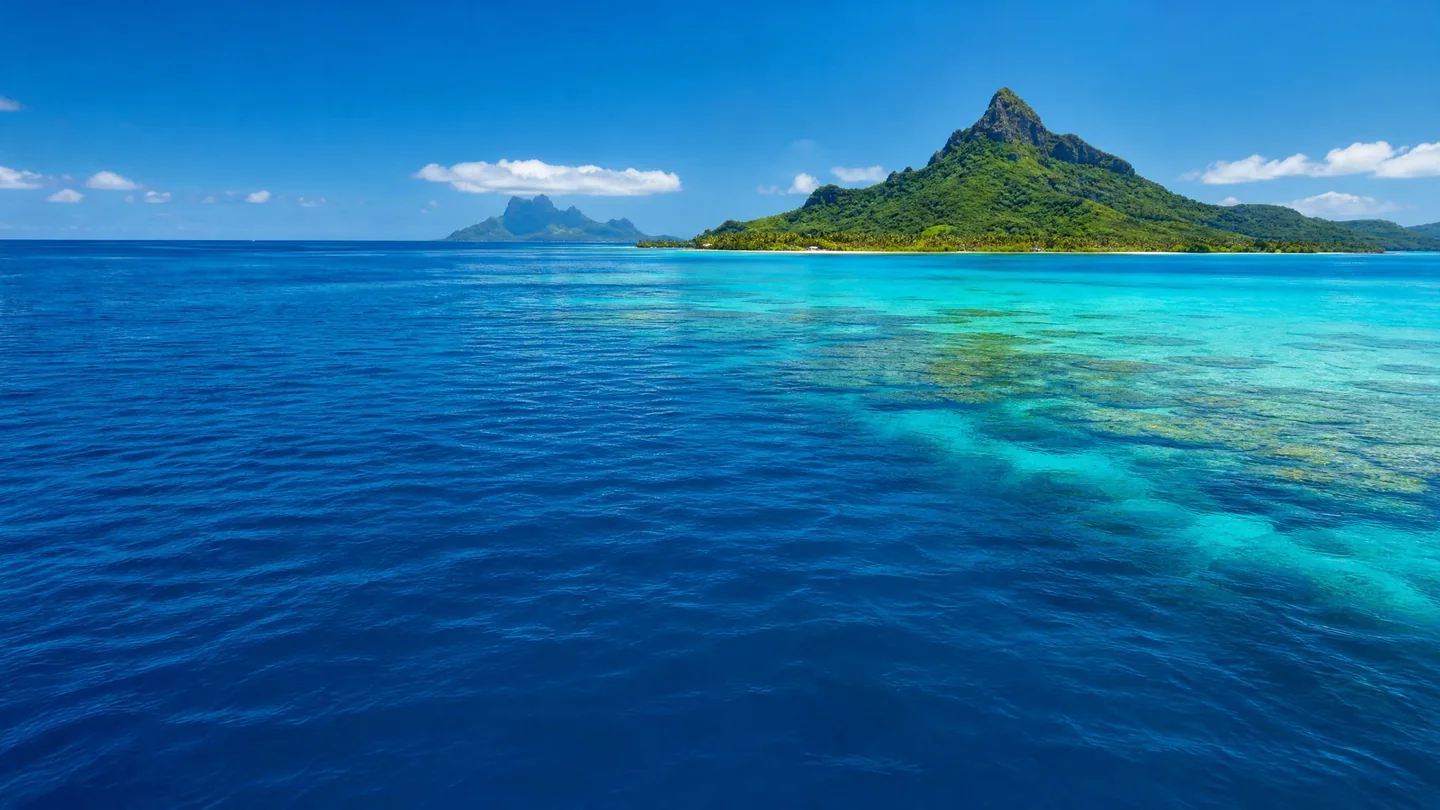 Cover image for The Pacific Is Not One Blue Thing