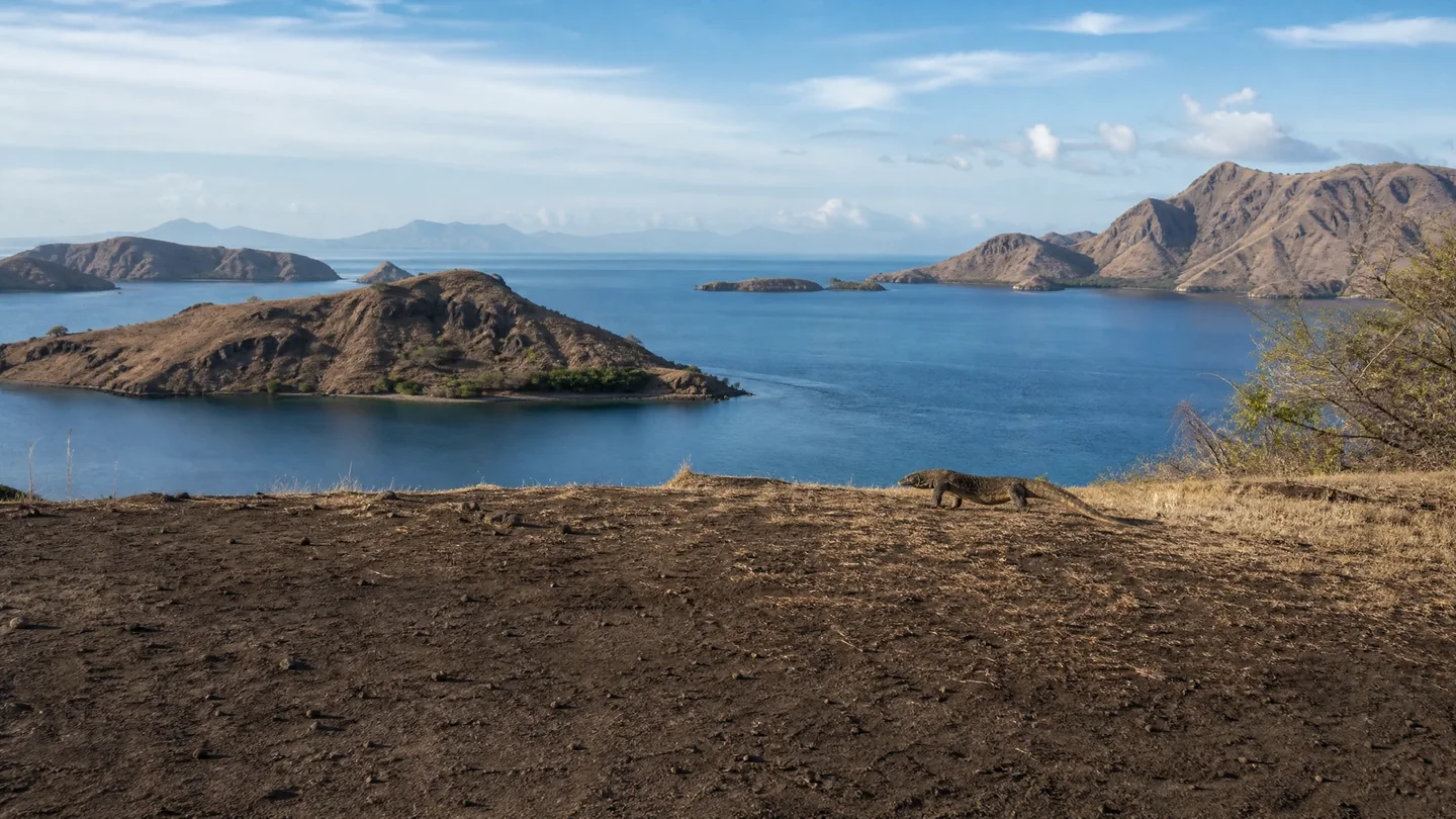 Cover image for The prehistoric giants of Komodo roam across a dramatic Indonesian volcanic archipelago