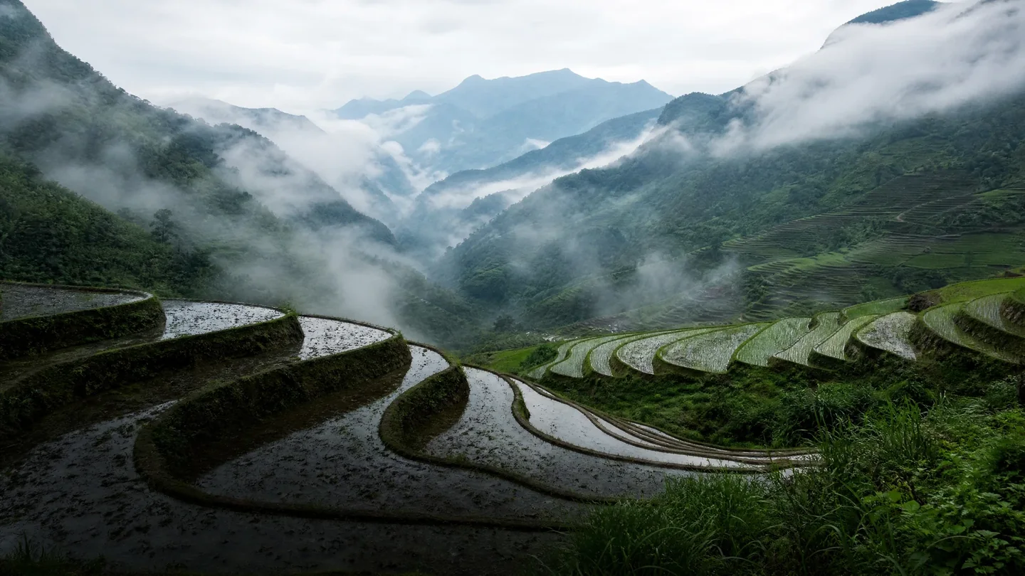 Cover image for The Verdant Staircase of Indochina Rising Through the Mists of Northern Vietnam