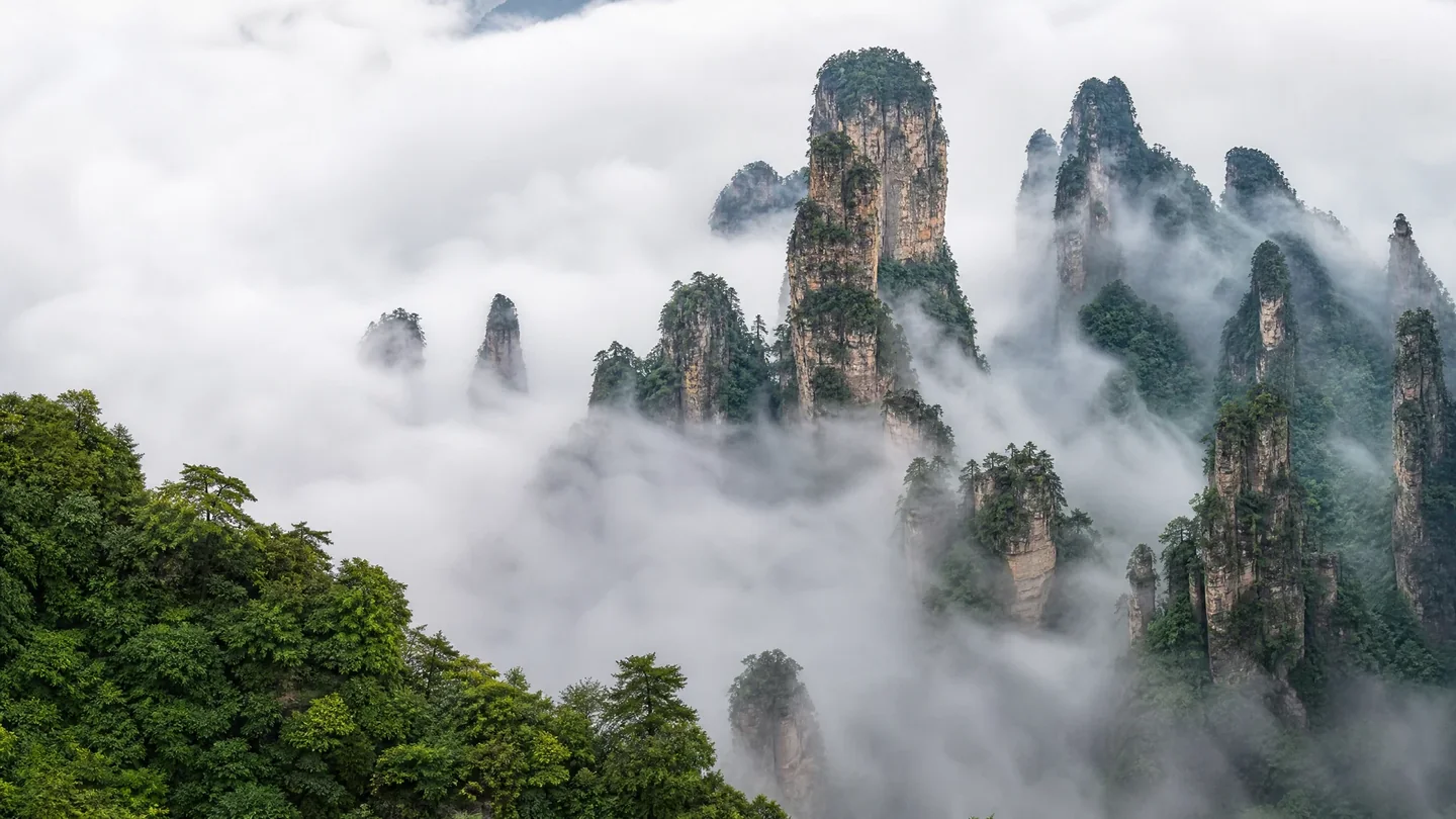 Cover image for Vertical Solitude Amidst the Soaring Quartz Spires of Hunan’s Ancient Forest Labyrinth