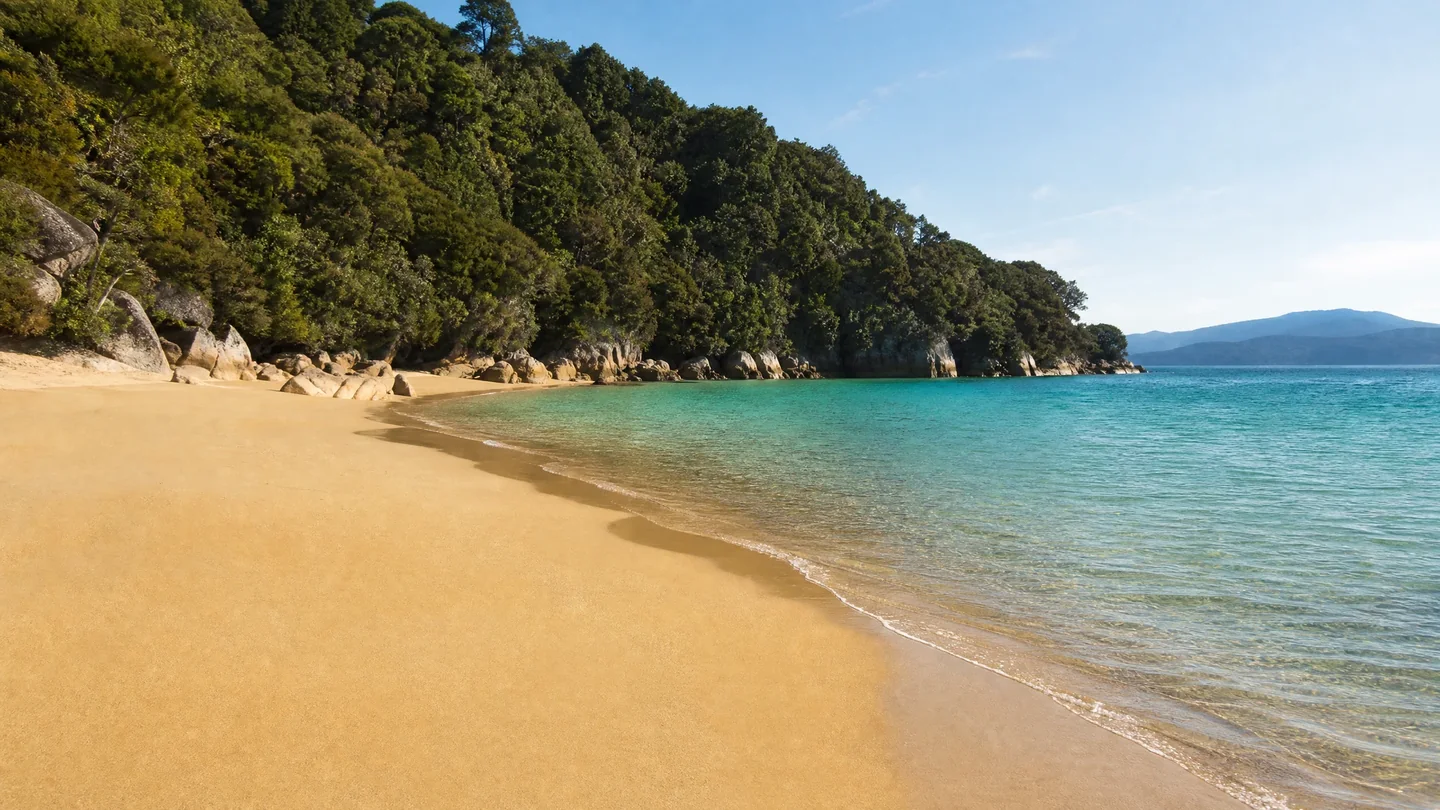 Cover image for The Golden Sands and Tidal Rhythms of New Zealand’s Smallest National Park