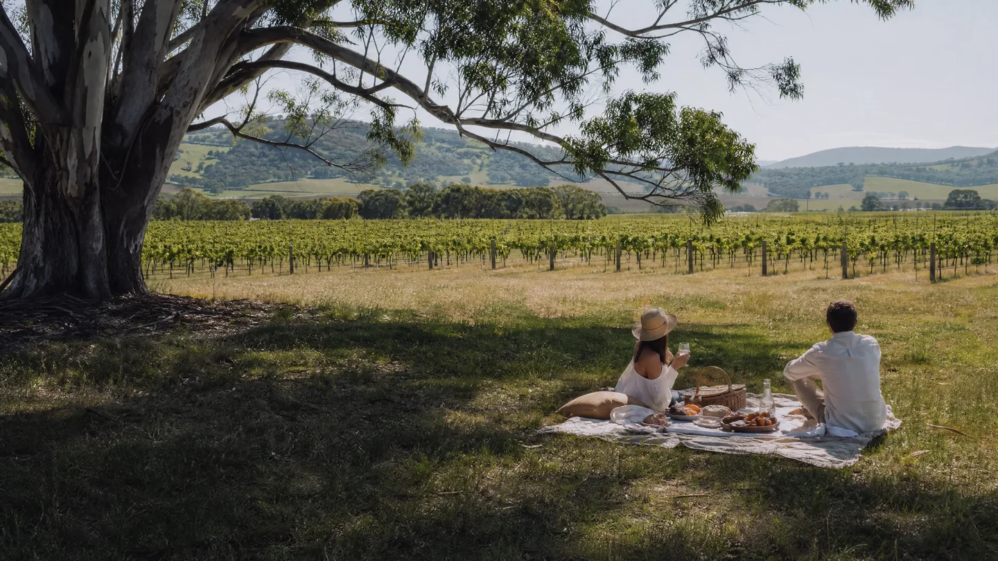 Cover image for A Silent Communion on the Ridge: The Art of the Slow Picnic Above the Pokolbin Vines