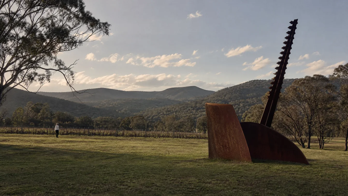 Cover image for The Unspoken Echo of Iron and Earth: A Solitary Walk Through the Hunter’s Sculpted Vineyards