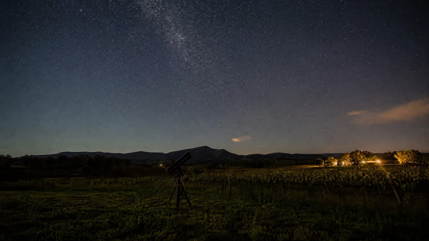 Cover image for The Infinite Silence of the Hunter: Finding the Ancient Pulse of Stars Above the Darkened Vineyards