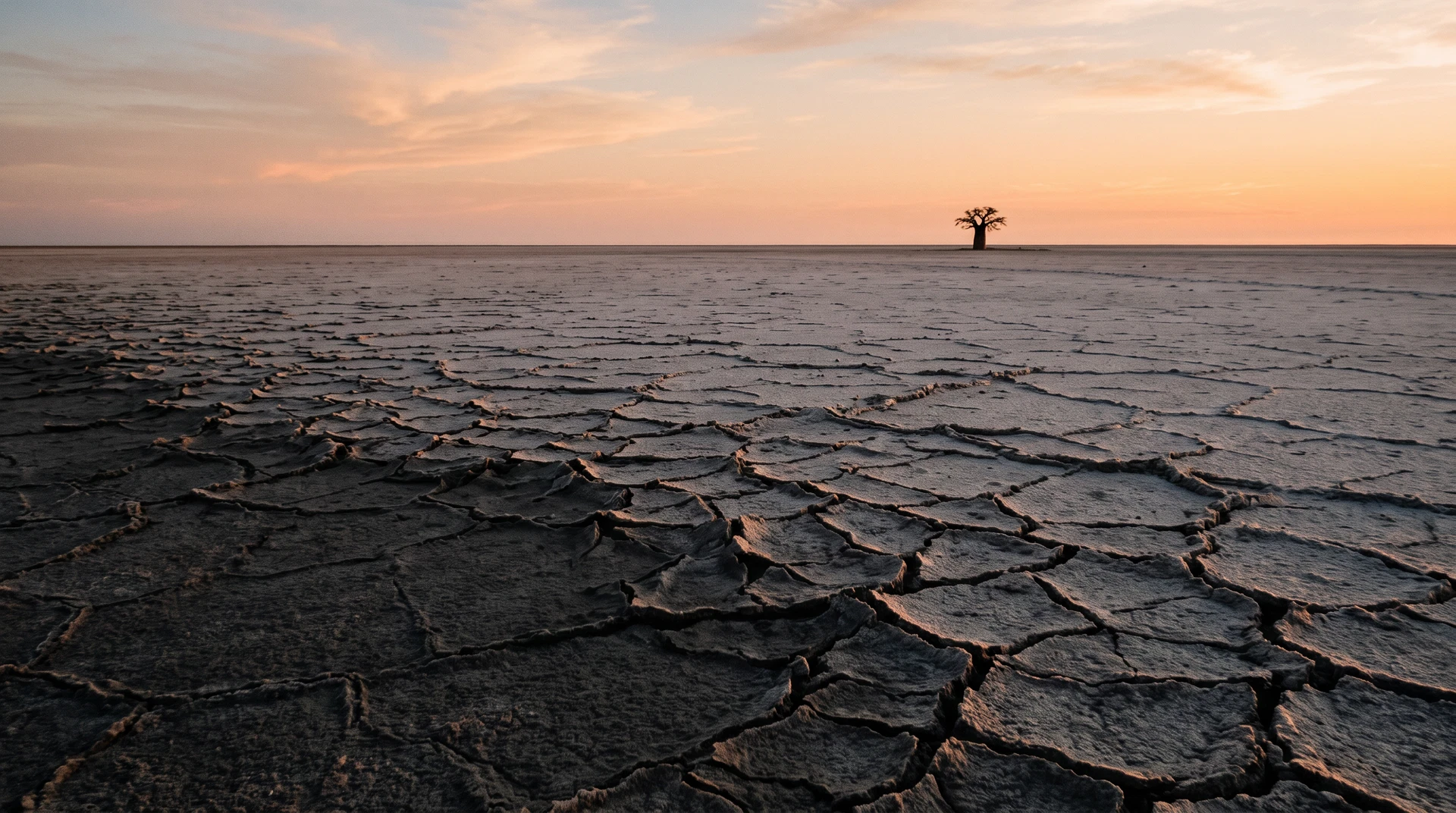Cover image for The Silence of a Dried Sea: Navigating the Luminous Salt Crusts of Makgadikgadi