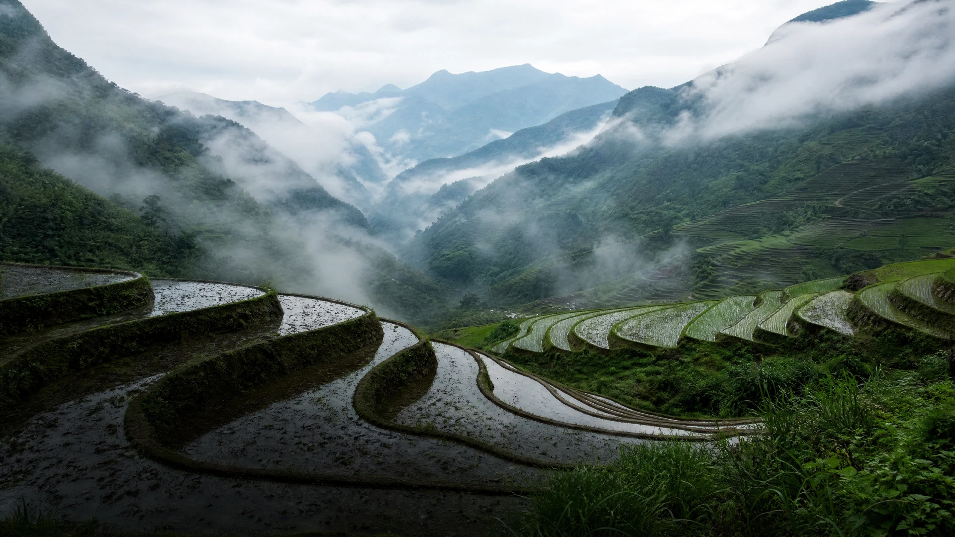 Cover image for The Verdant Staircase of Indochina Rising Through the Mists of Northern Vietnam