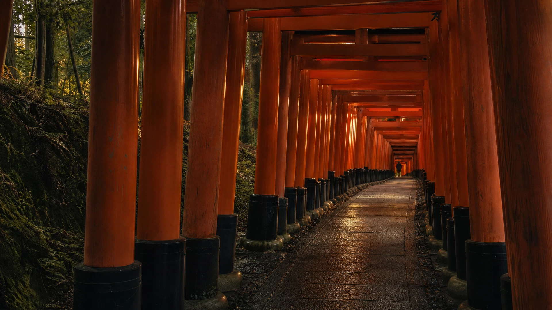 Cover image for Forty-Eight Hours in Kyoto: A Weekend of Tea, Torii, and Tactical Snacks
