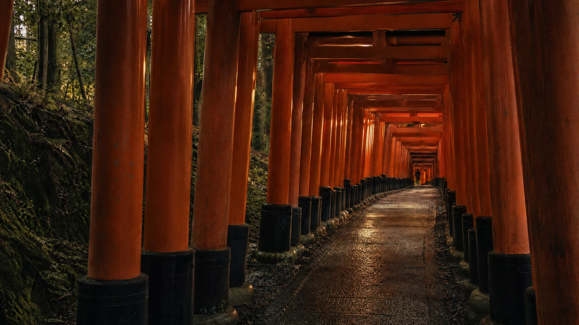 A quiet tunnel of vermilion torii gates at Fushimi Inari before the morning crowds arrive.